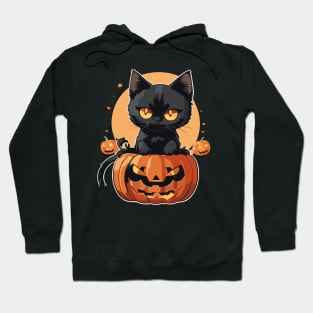 Nights and days Cat Halloween 3 Hoodie